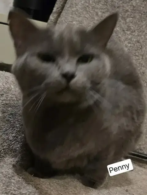 Penny