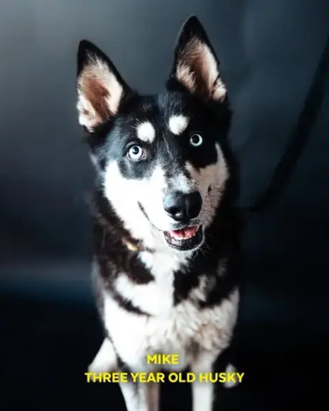 Mike