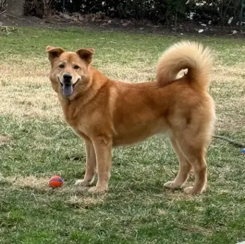 Oakley photo 3