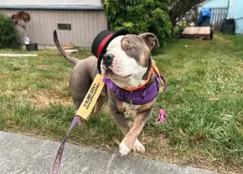 Ketchup