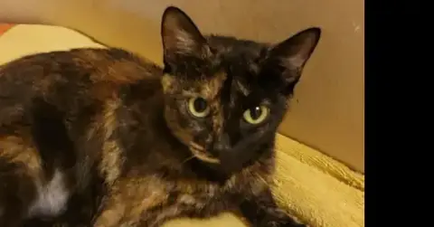 Millie
