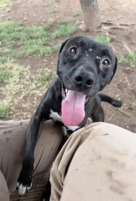 Josie