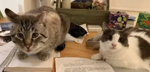 Milo And Sweetie photo 2