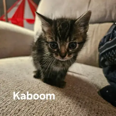 Kaboom