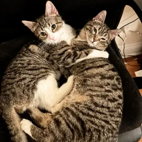 Patricia & Roseanna Arcat photo 5