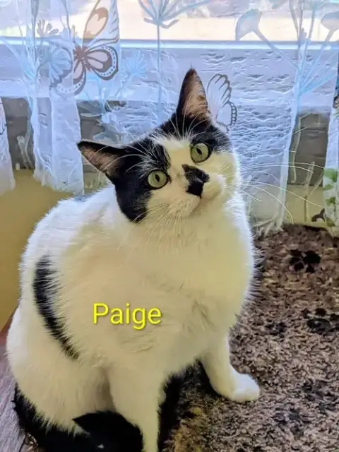 Paige photo 3