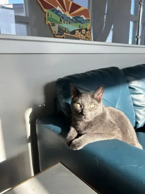 Cayenne photo 2