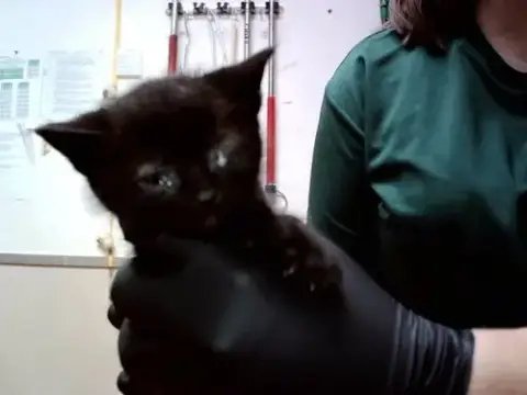 A1047388