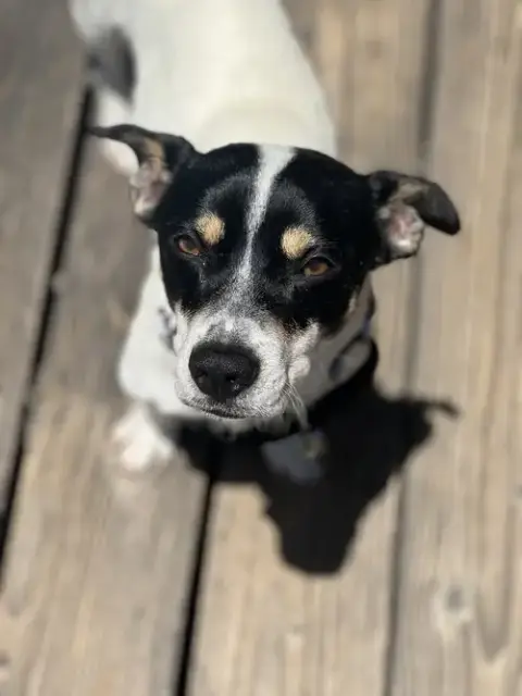 Marco