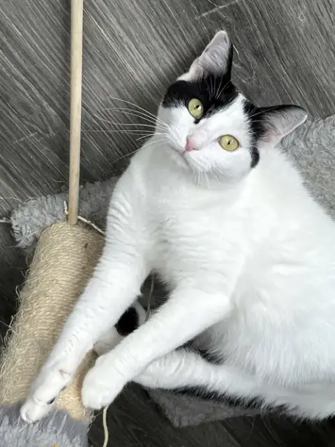 Mama Gabby photo 3