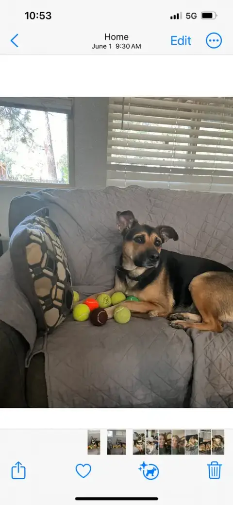 Nalla