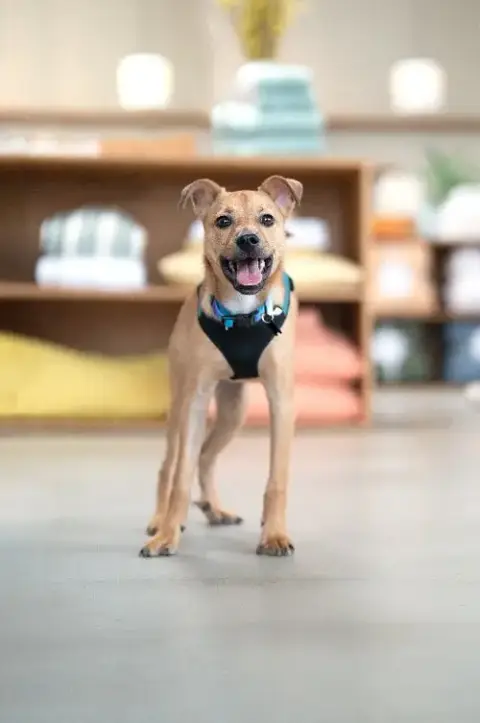 Hank photo 3