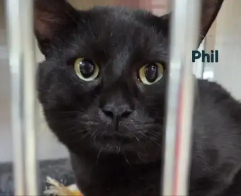 Phil photo 2