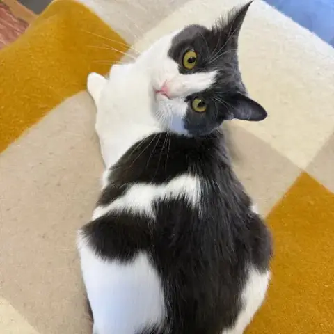 Oscar photo 3