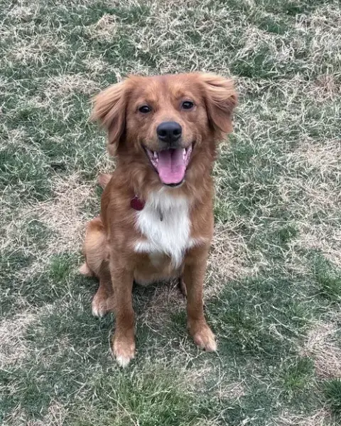 Ezekiel