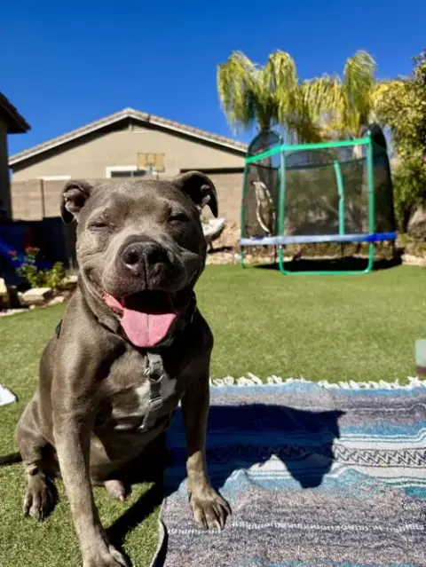 Micah #4