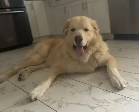 Thor photo 3