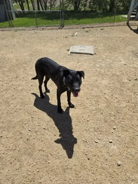 Jax