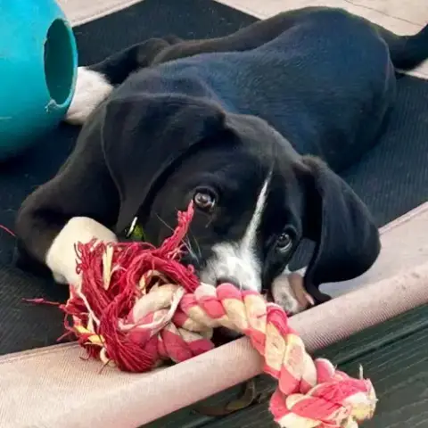 Zeus photo 3