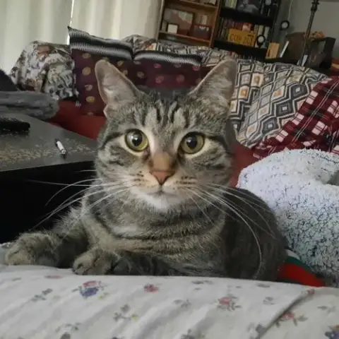 Ruby photo 2