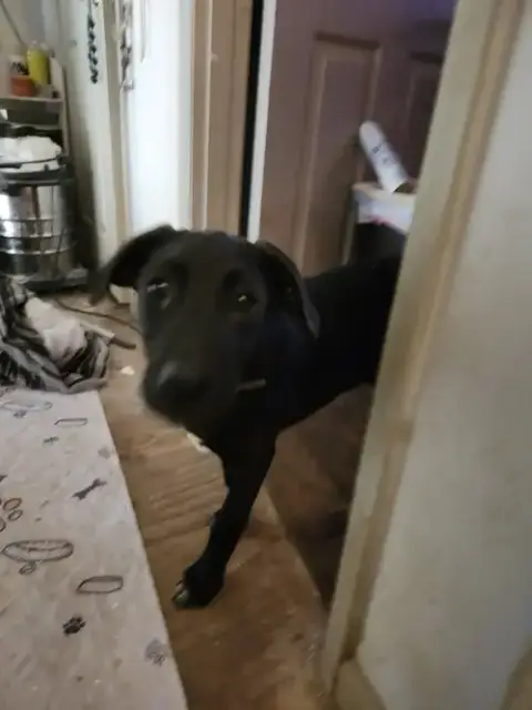 Morty photo 3