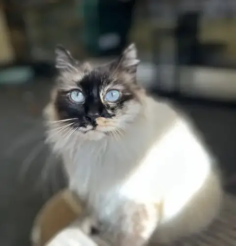 Layla photo 2