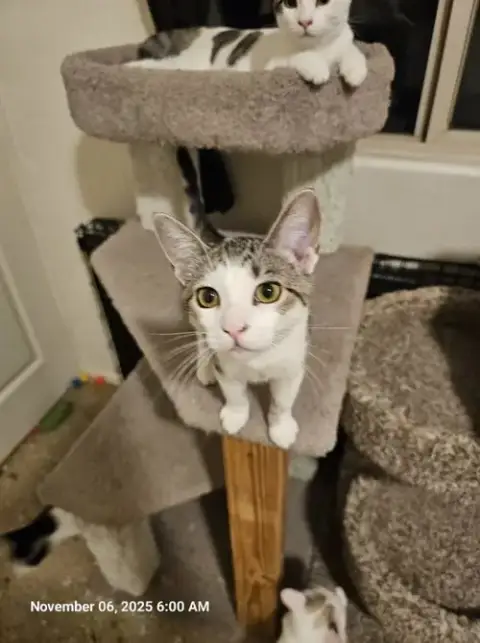 Penelope