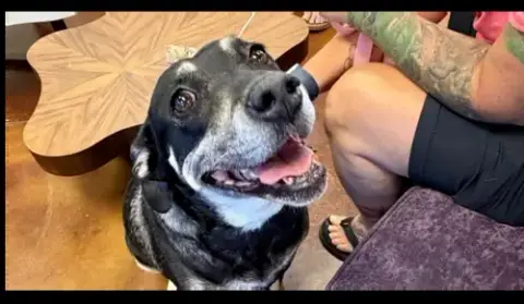 Precious