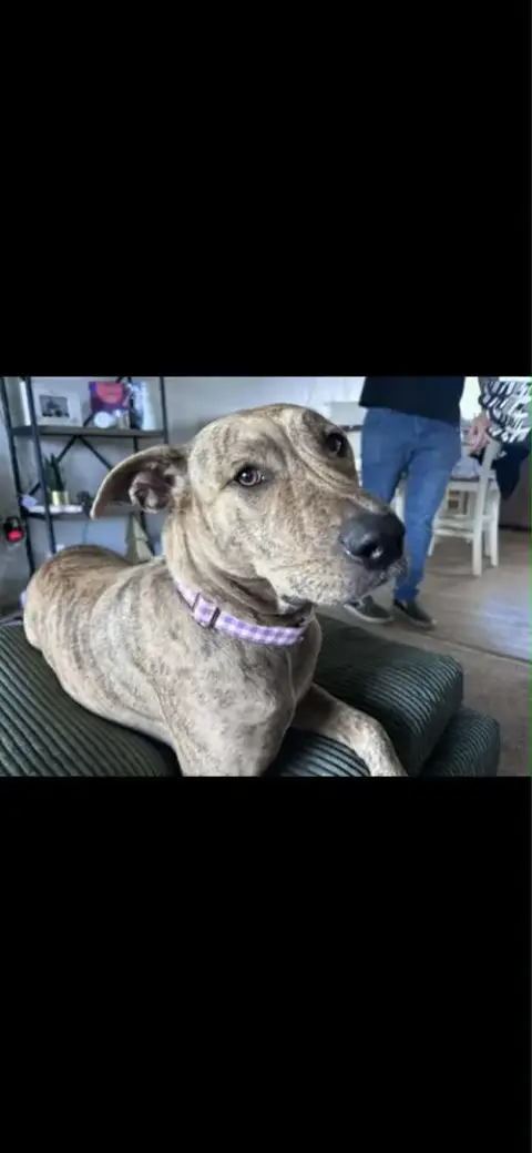 Lorelai photo 3