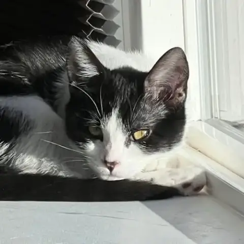 Miss Maple photo 5