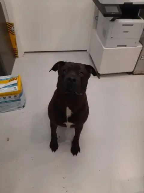 Kona