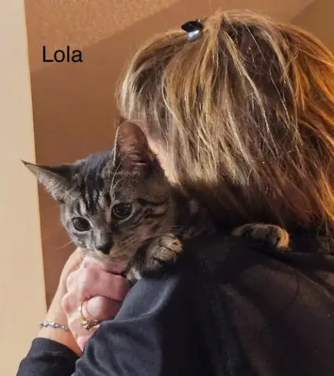 Lola photo 3