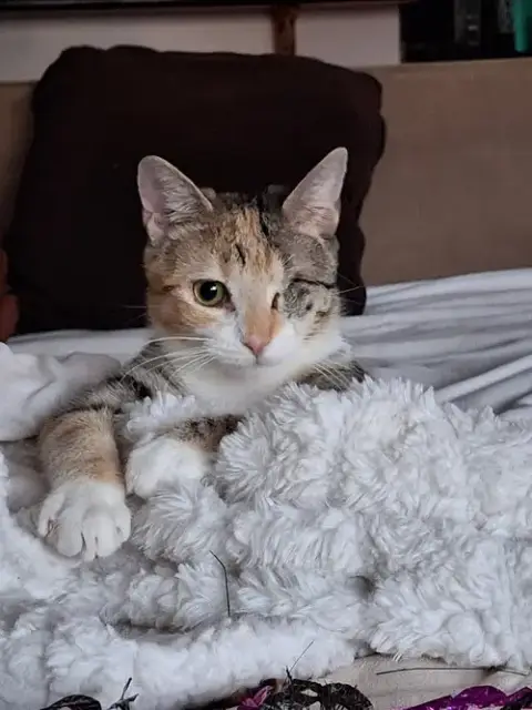 Clara