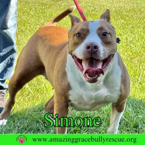 Simone
