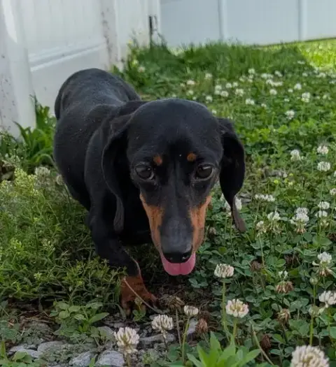 Malorie In Fl photo 3