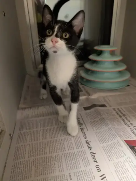 Teeny