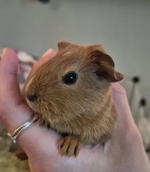 Penelope photo 5
