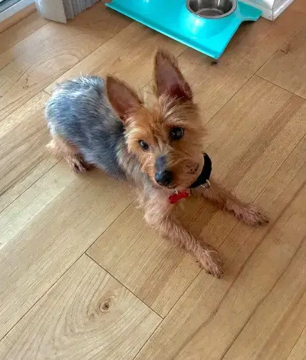 Winston photo 5