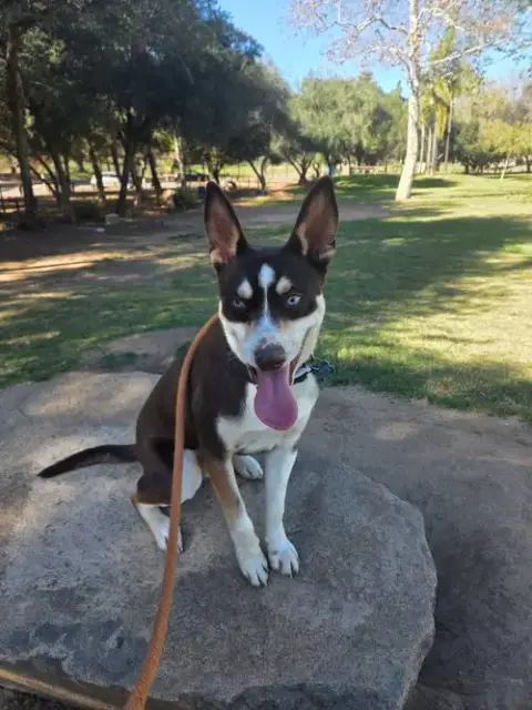 Kane photo 2