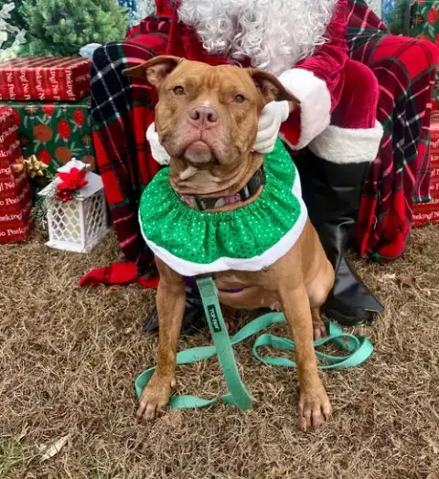 Fiona