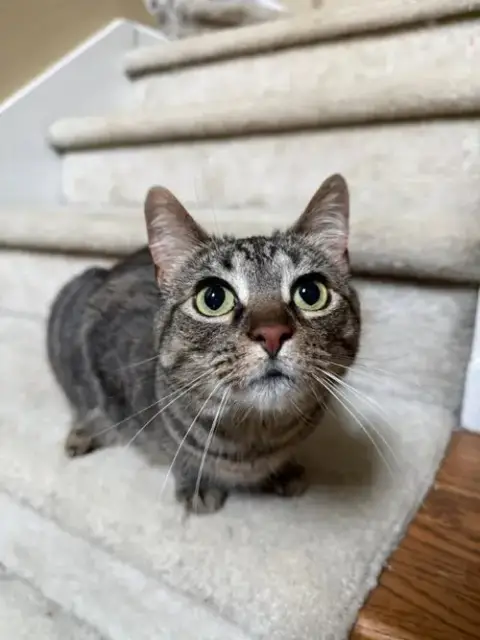 Rosie photo 3