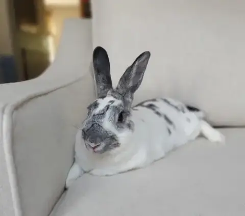 Marble