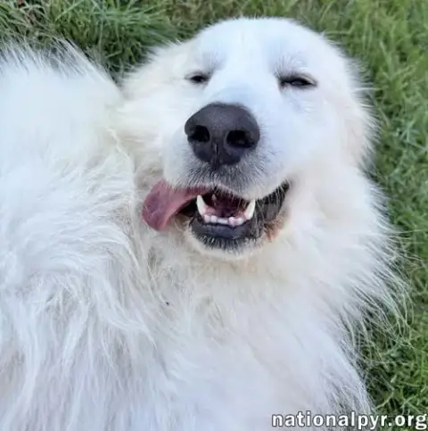 Casper In Ct photo 3