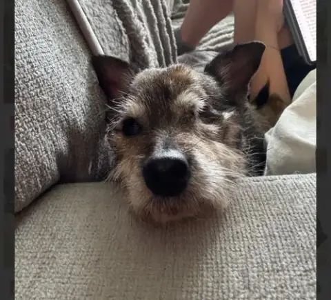 Jenkins photo 3