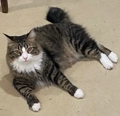 Fluff photo 4