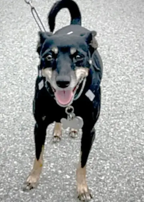 Lola photo 4