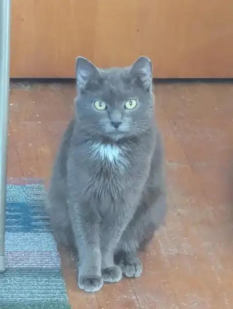 Luna photo 2