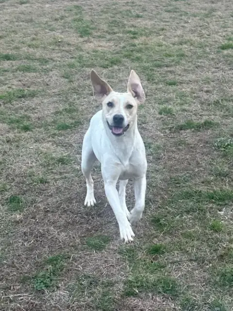 Penny photo 2