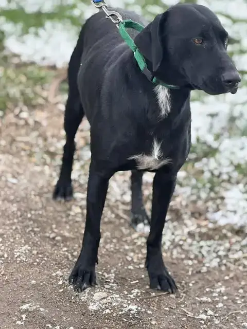 Mabel photo 5