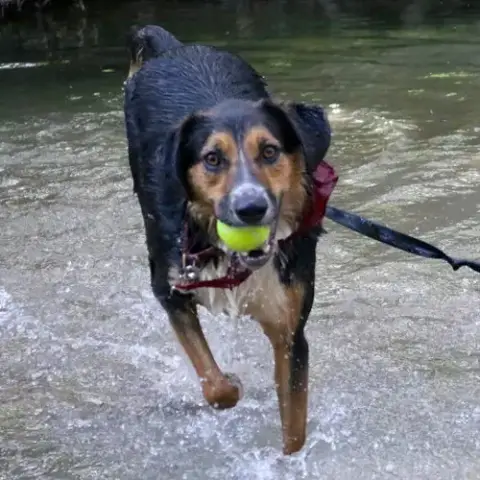 Schroeder photo 2